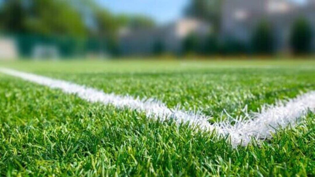 ‘South Africa found calm in the storm…’: Sachin hails Proteas maiden WTC title win