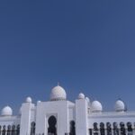 In Abu Dhabi encounter glossy sky scrapers, falcons and gold coffee, all in one day