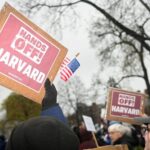 Attack Harvard to make America grate on its own nerves again
