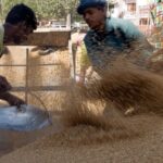 Diverting food security rice stocks to ethanol production flies in the face of economics