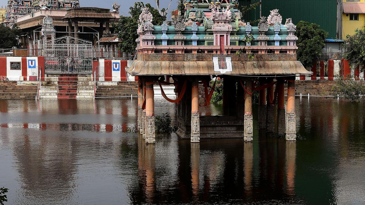 Chennai’s Sri Parthasarathy Swami Sabha marks a 125-year-milestone