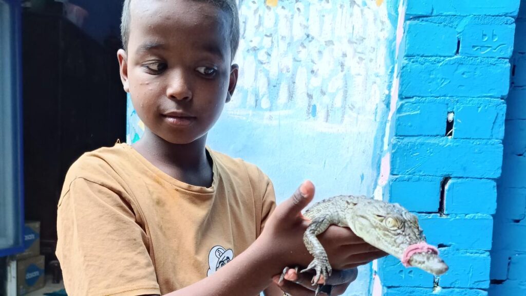 Where crocodiles are family: Inside a Nubian village in Egypt
