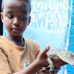 Where crocodiles are family: Inside a Nubian village in Egypt