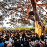 Echoes of Earth 2025 themed around Nature’s sixth sense