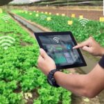 Here’s how India’s food supply chain could respond to climate change in a way everyone will gain from