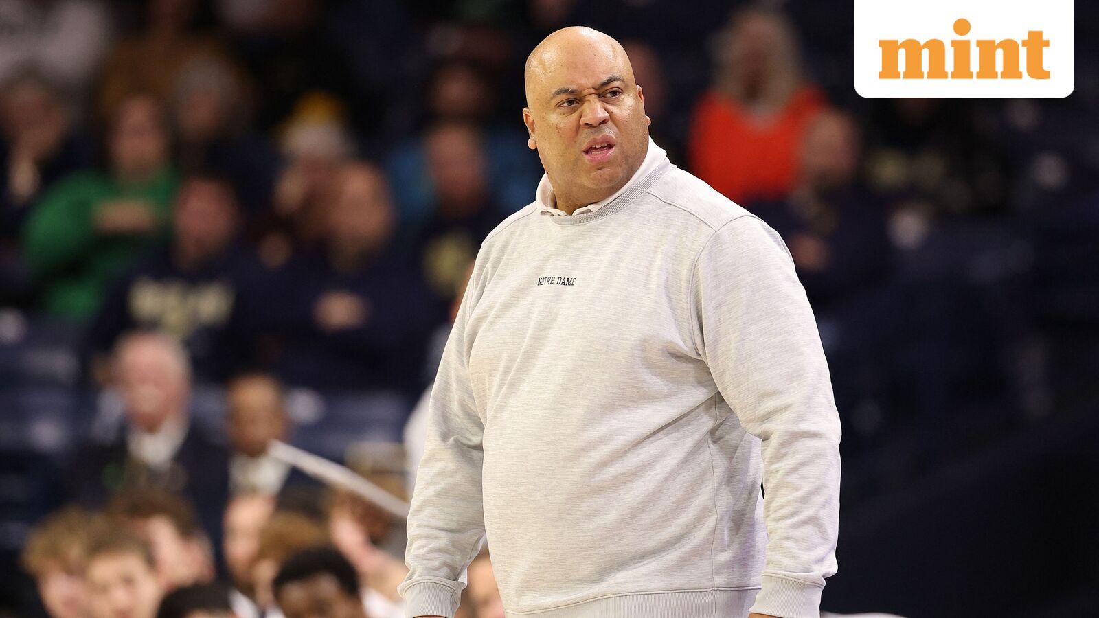 Micah Shrewsberry charges at official after Notre Dame’s heartbreaking loss to California Golden Bears