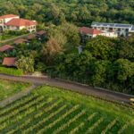 SulaFest 2026 returns to Nashik for its 15th edition with a focus on homegrown music