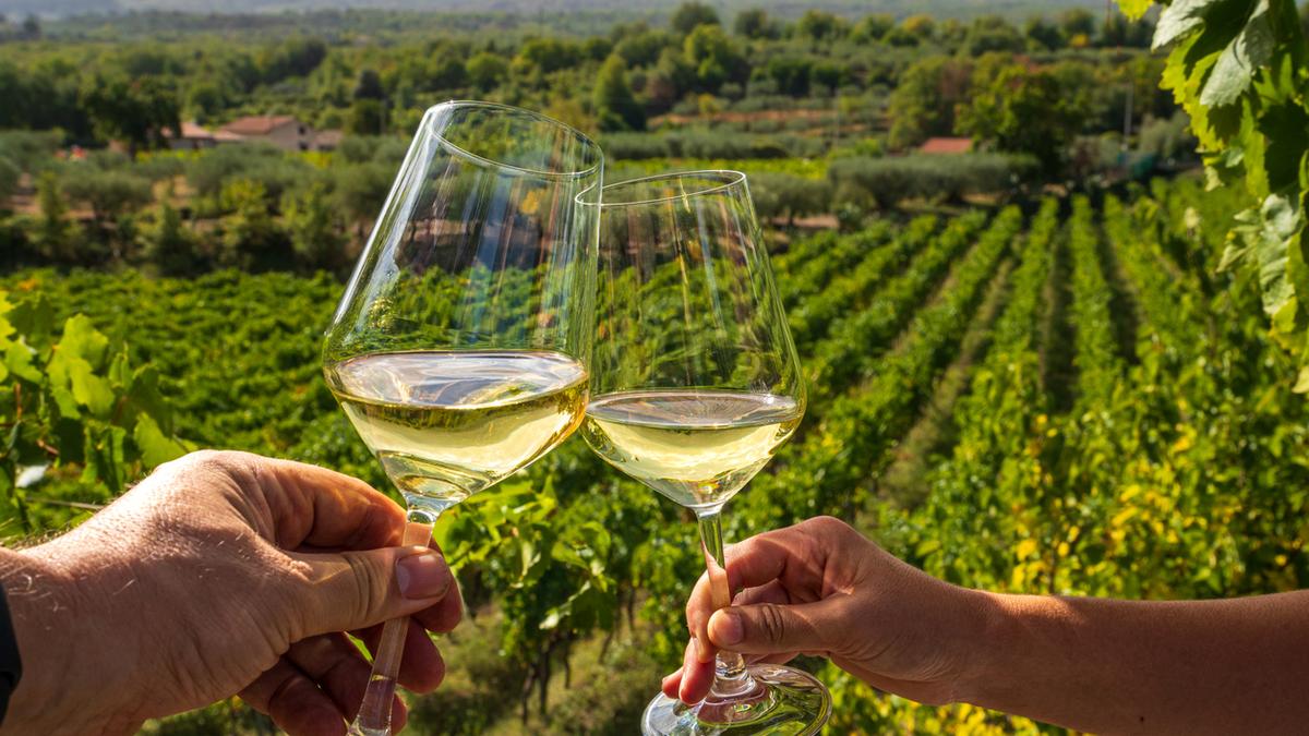 EU-India Trade Deal: What lower wine tariffs really mean for Indian consumers