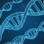 Nitin Pai: The diversity of Indian genomes should cue changes in India’s approach to public health