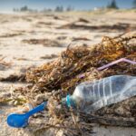Earth Day 2026: India’s plastic crisis and blame game