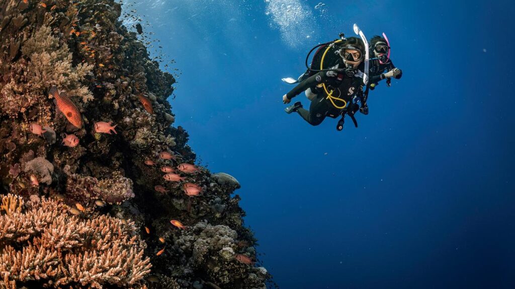 How India’s divers are turned ocean encounters into conservation action