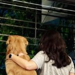 Pet wellness becomes underlying theme as industry grows steady