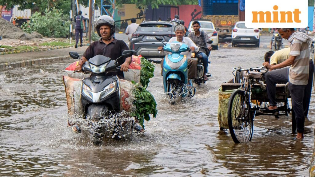 Urban heroism: city authorities should take note of public support for officials who do their jobs right