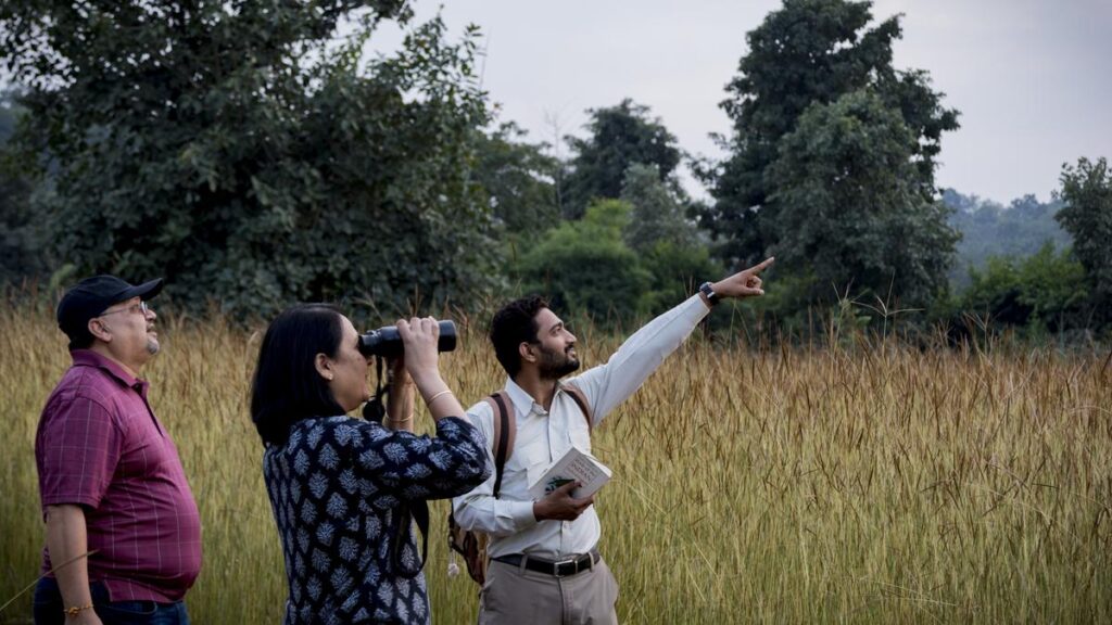 Inside Bandhavgarh’s forests: The evolving nature of tiger tourism