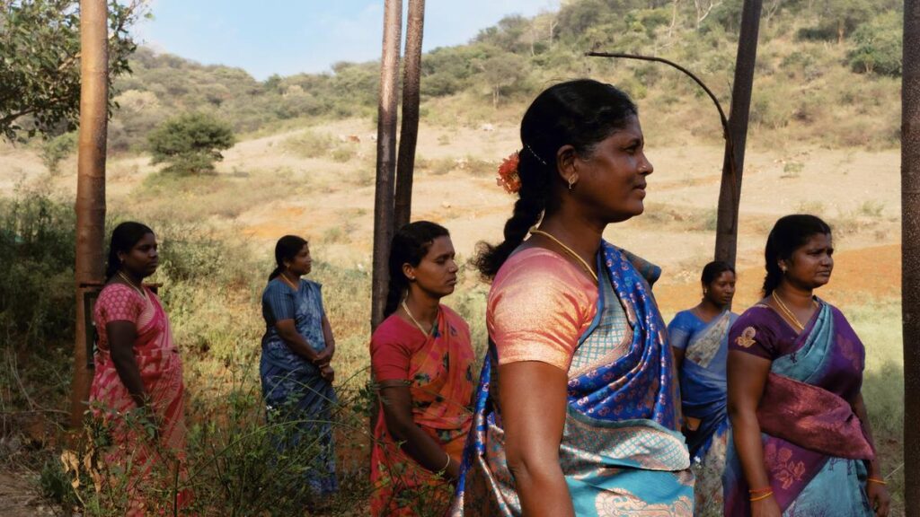 When Raajadharshini captured the queen (bees) of the Nilgiris